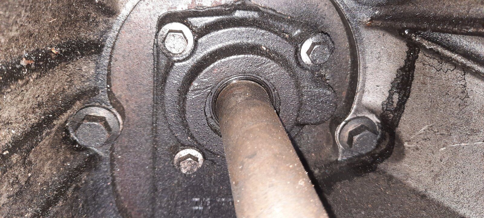 Input seal.jpg