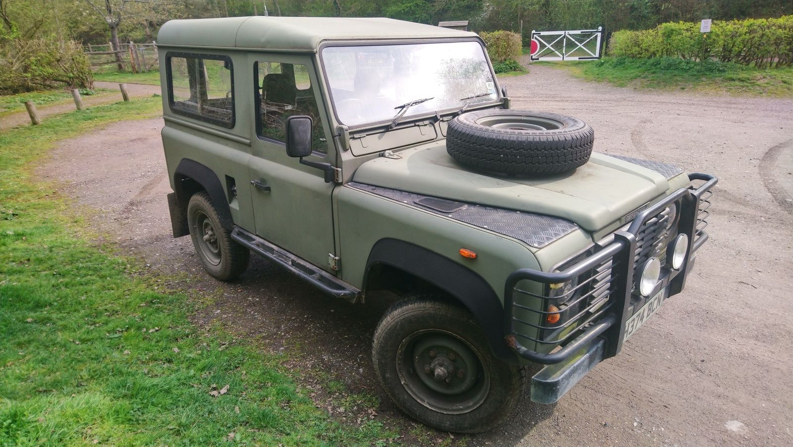 Landy 4.jpg