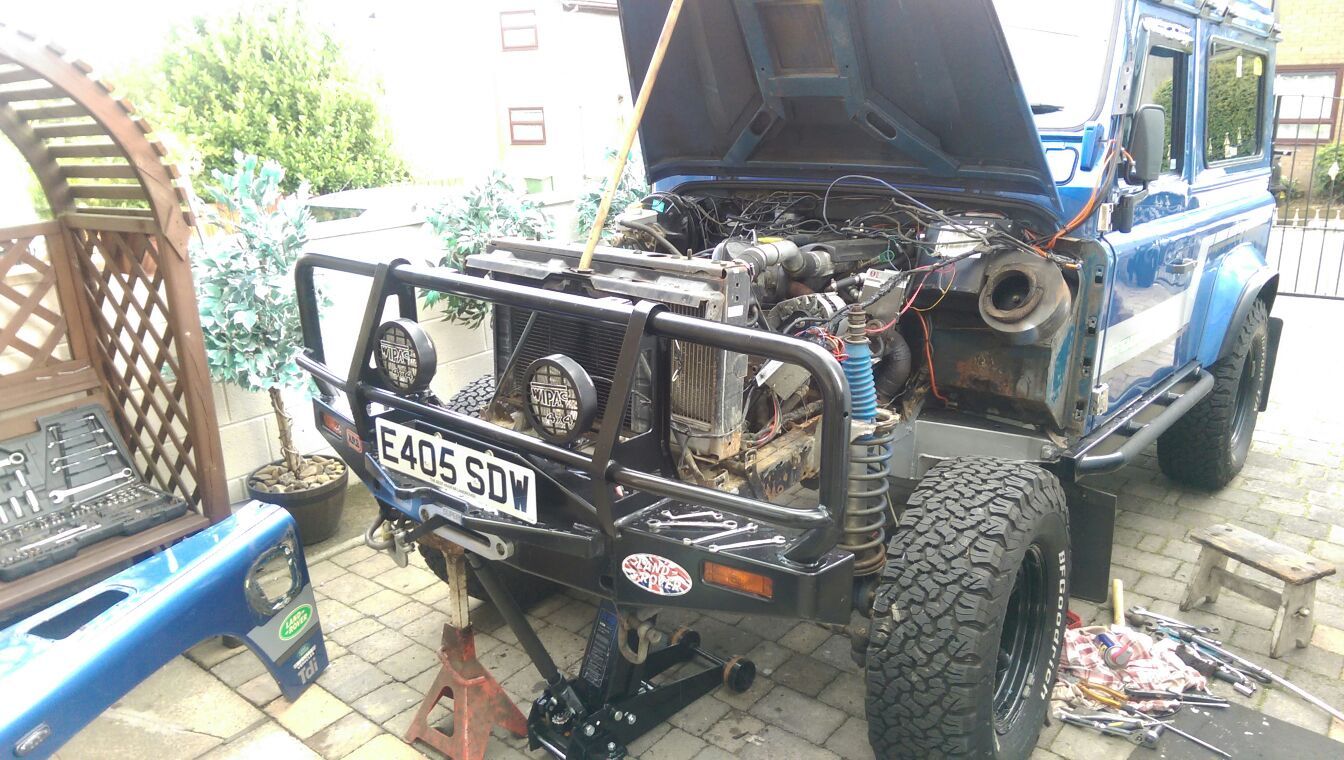 landy august  2017 stripped 017.jpg