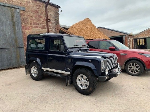landy.jpg