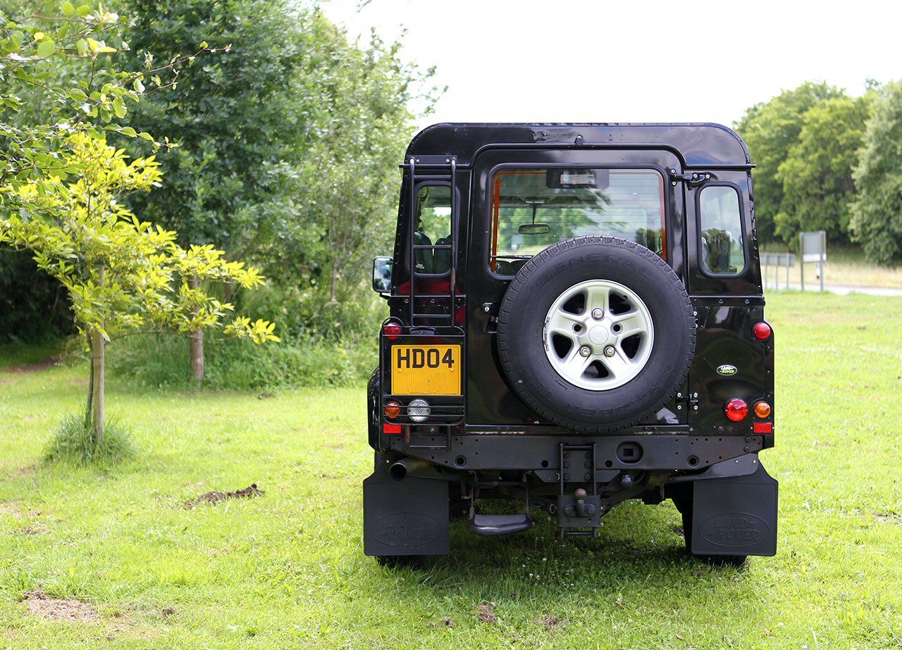 LR-rear_4454.jpg