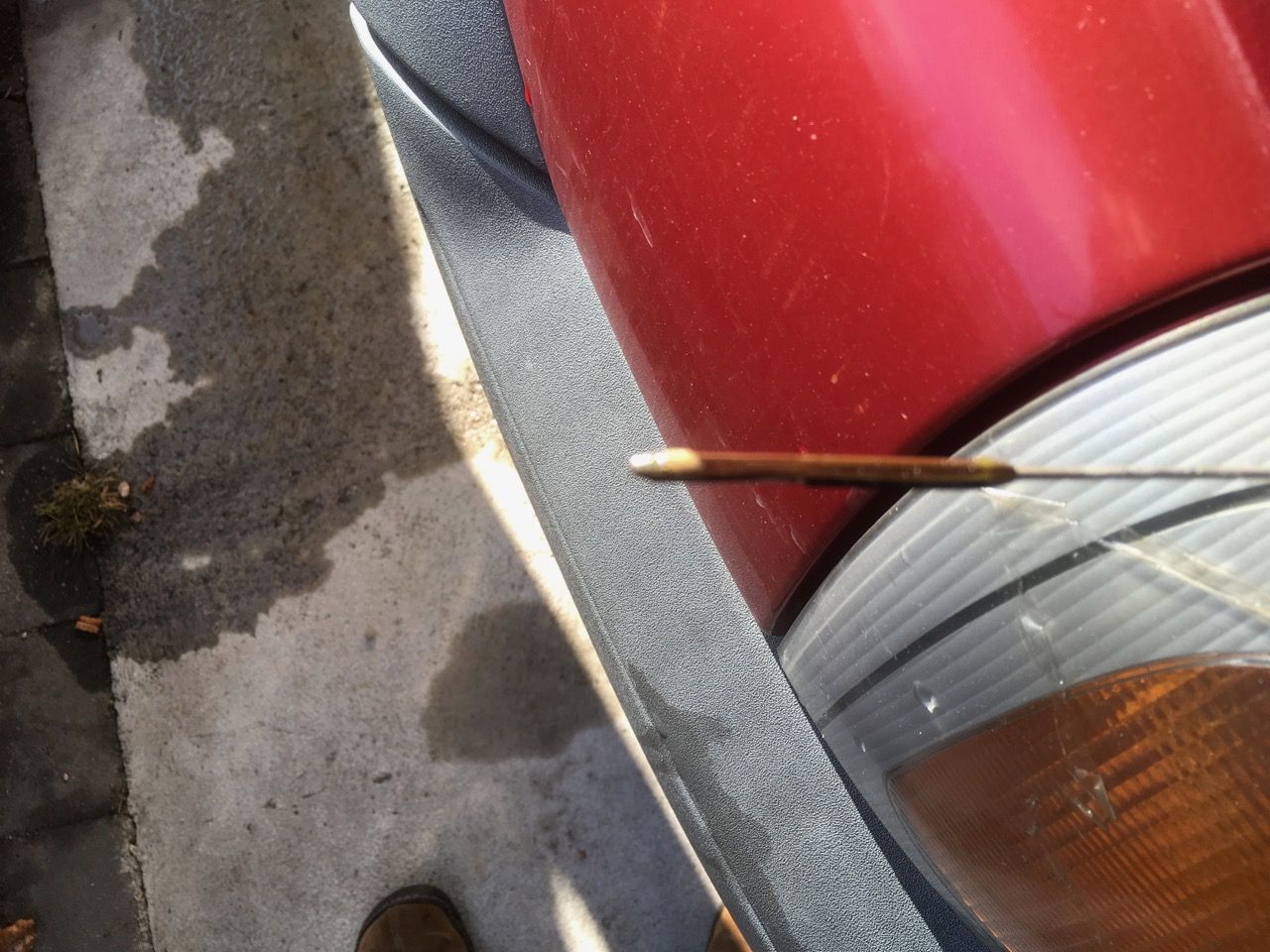 mayo on dipstick.jpg