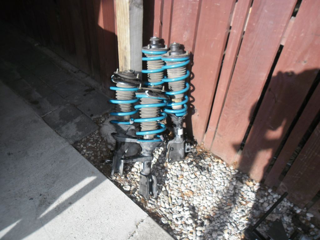new springs.JPG