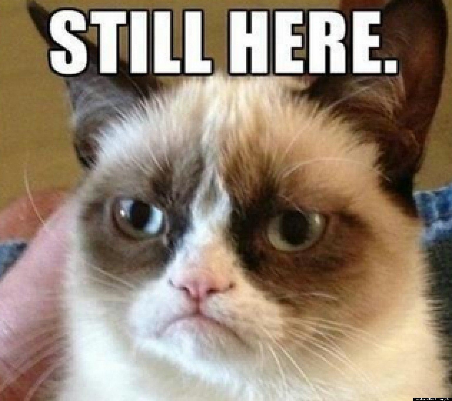 o-GRUMPY-CAT-APOCALYPSE-facebook.jpg