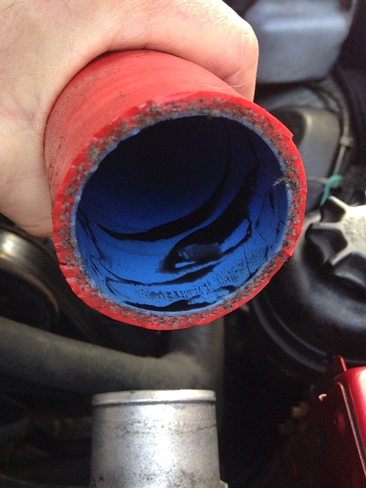 oil in intercooler.JPG