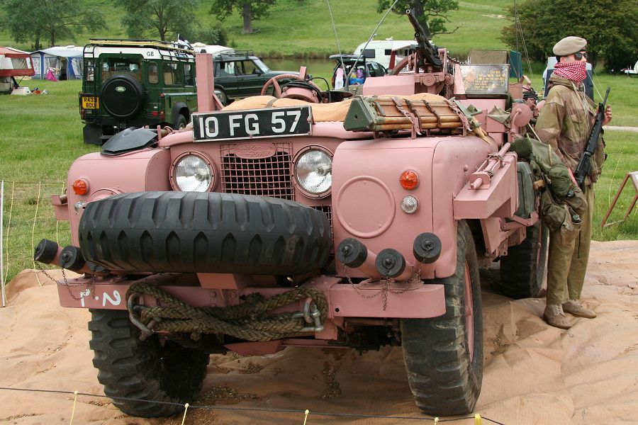 PinkPanther02-02.jpg