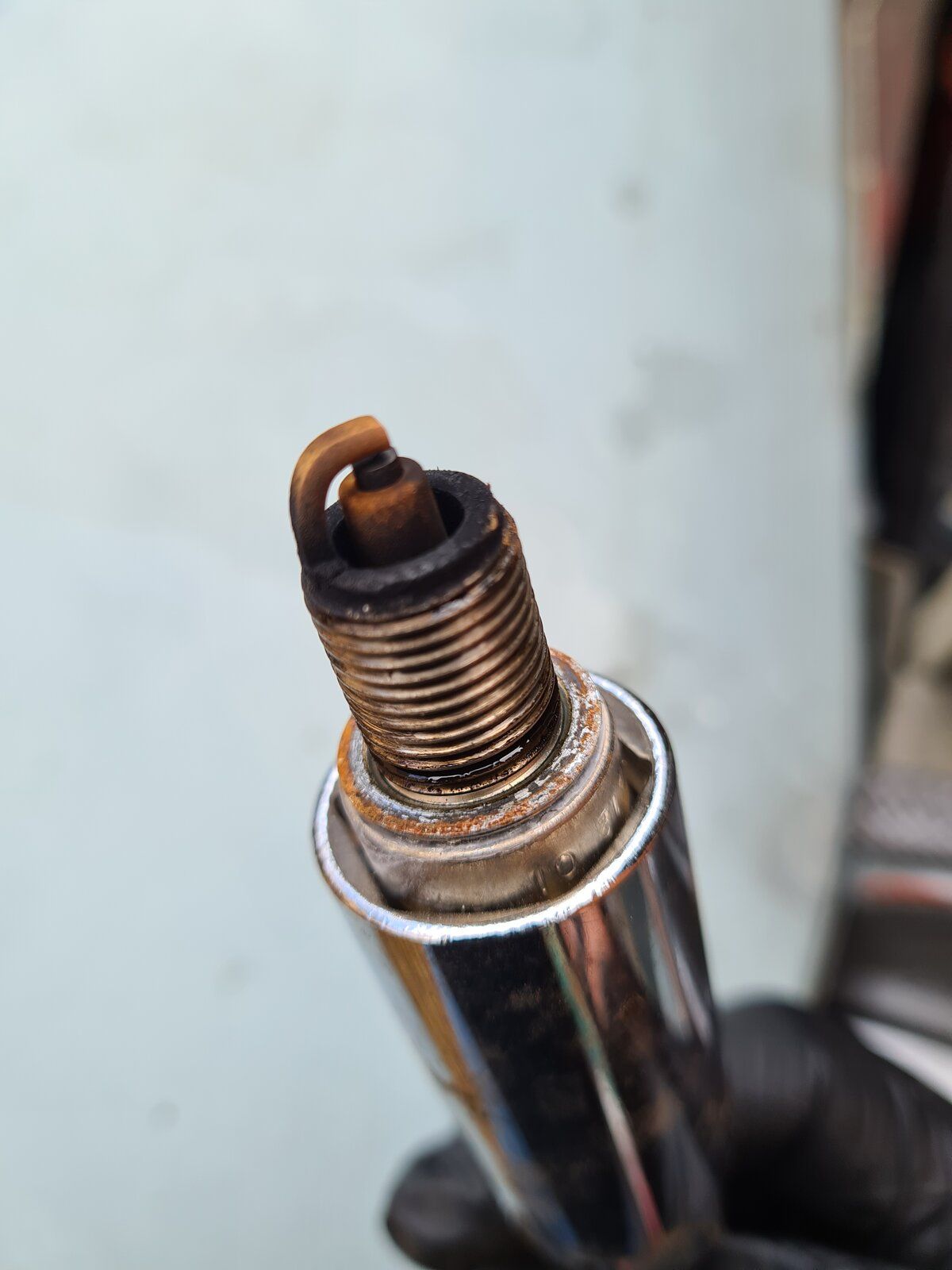 Plug1.jpg