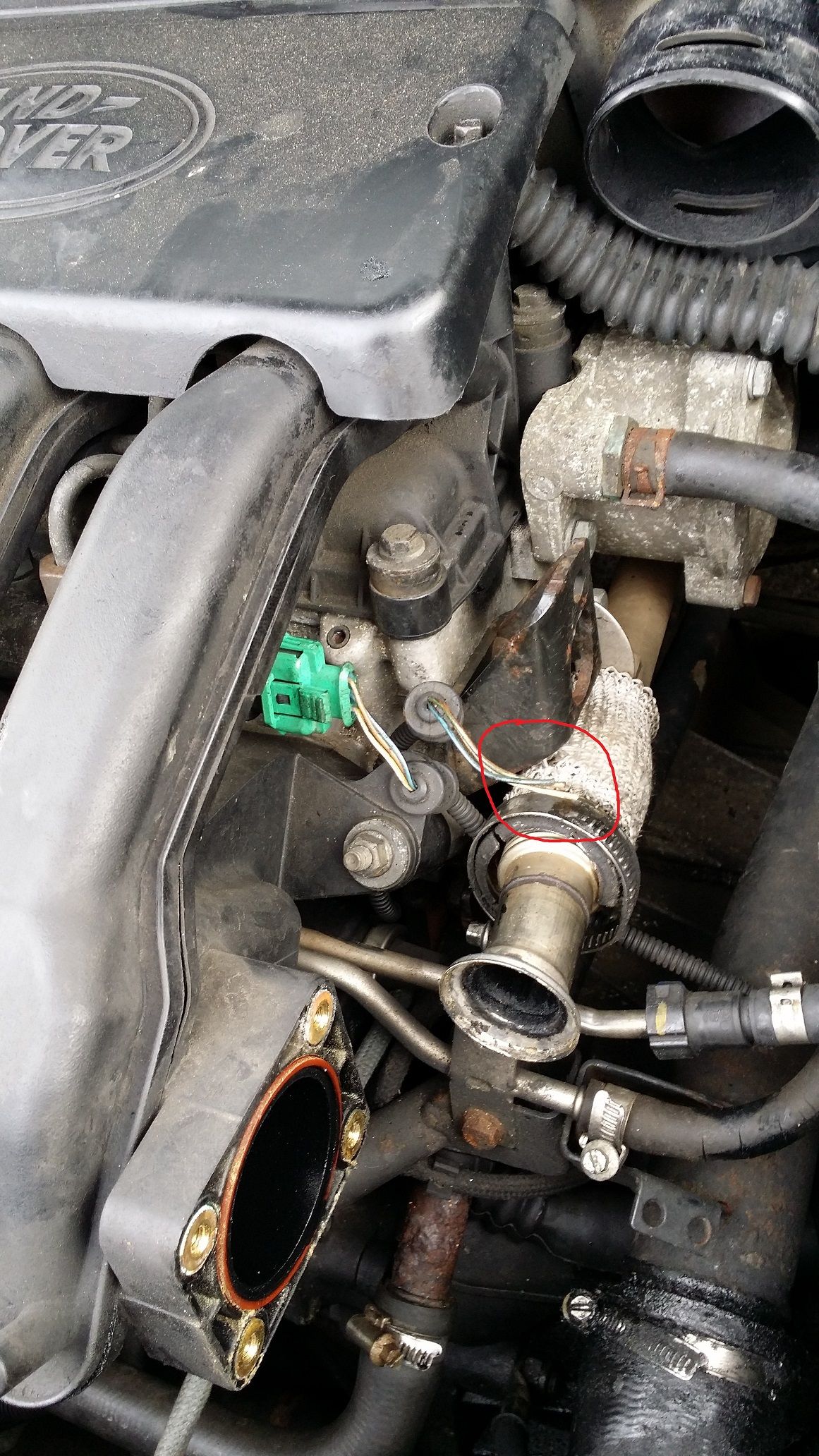 rail pressure sensor.jpg
