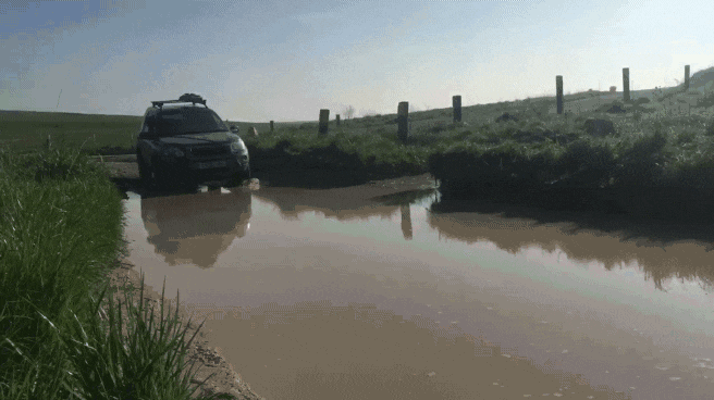 received_2285912691422480_1.gif