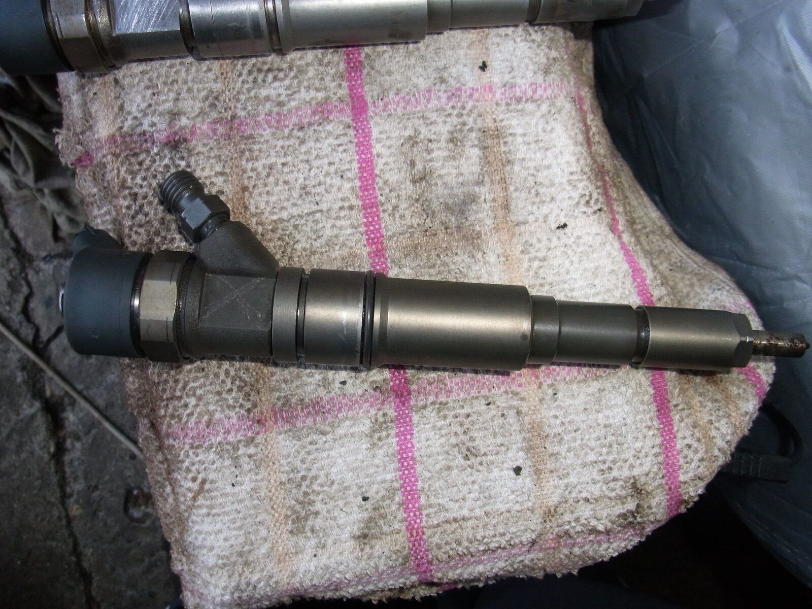 RIMG0573.JPG