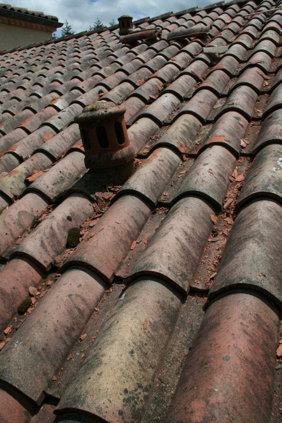 roof08.jpg