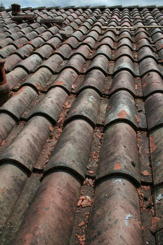 roof09.jpg