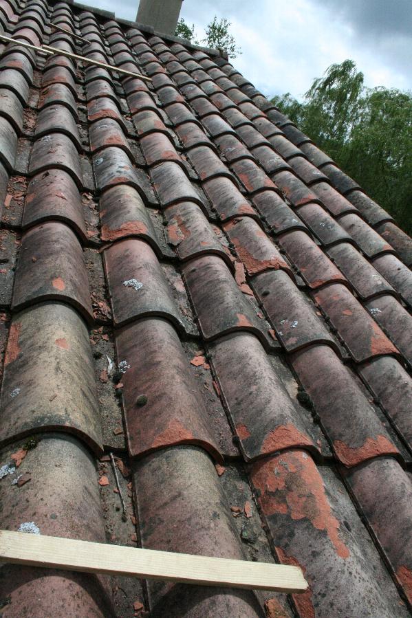 roof10.jpg