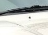Sneak_006.jpg