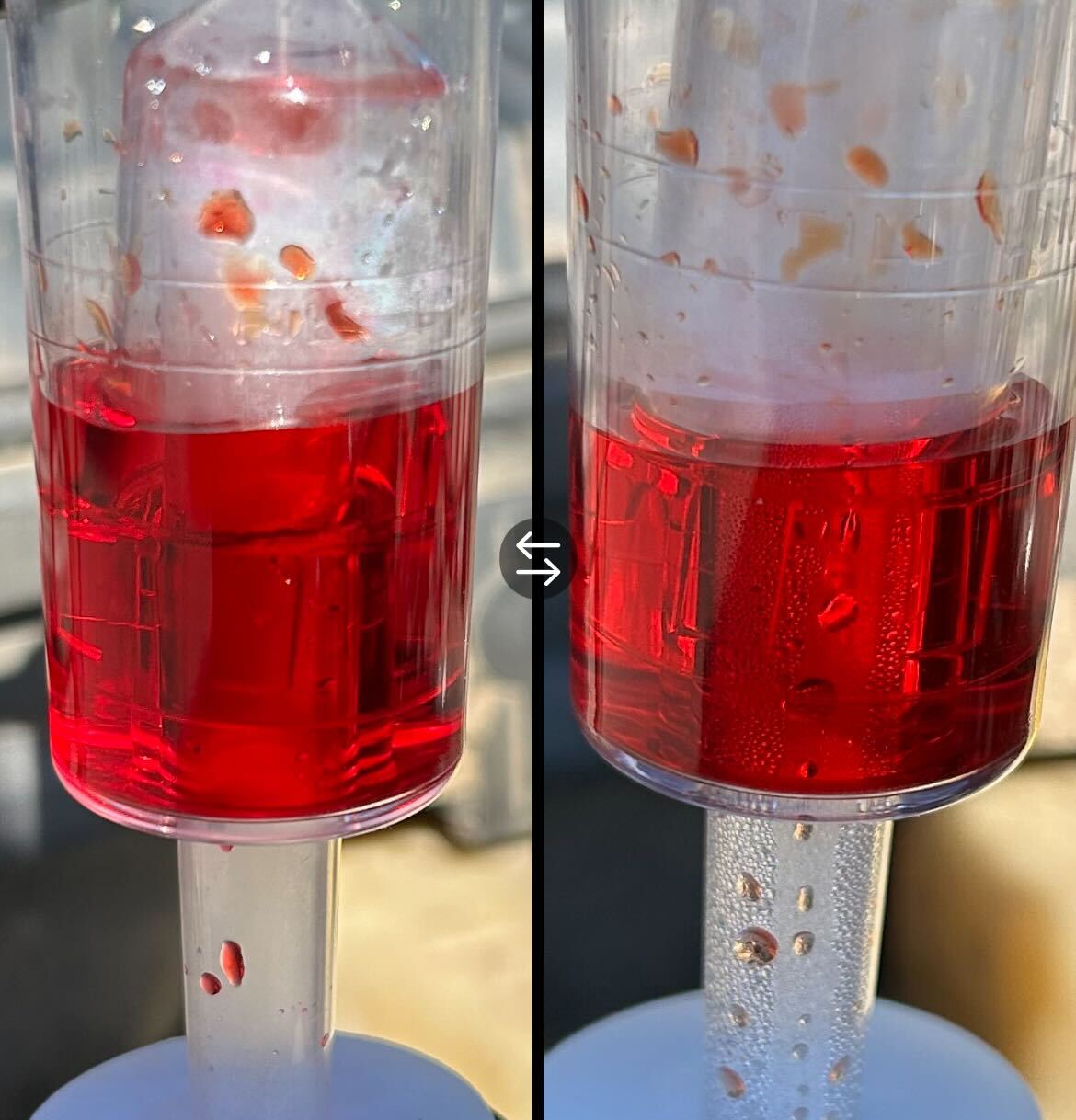 snifftest-before-after.jpg