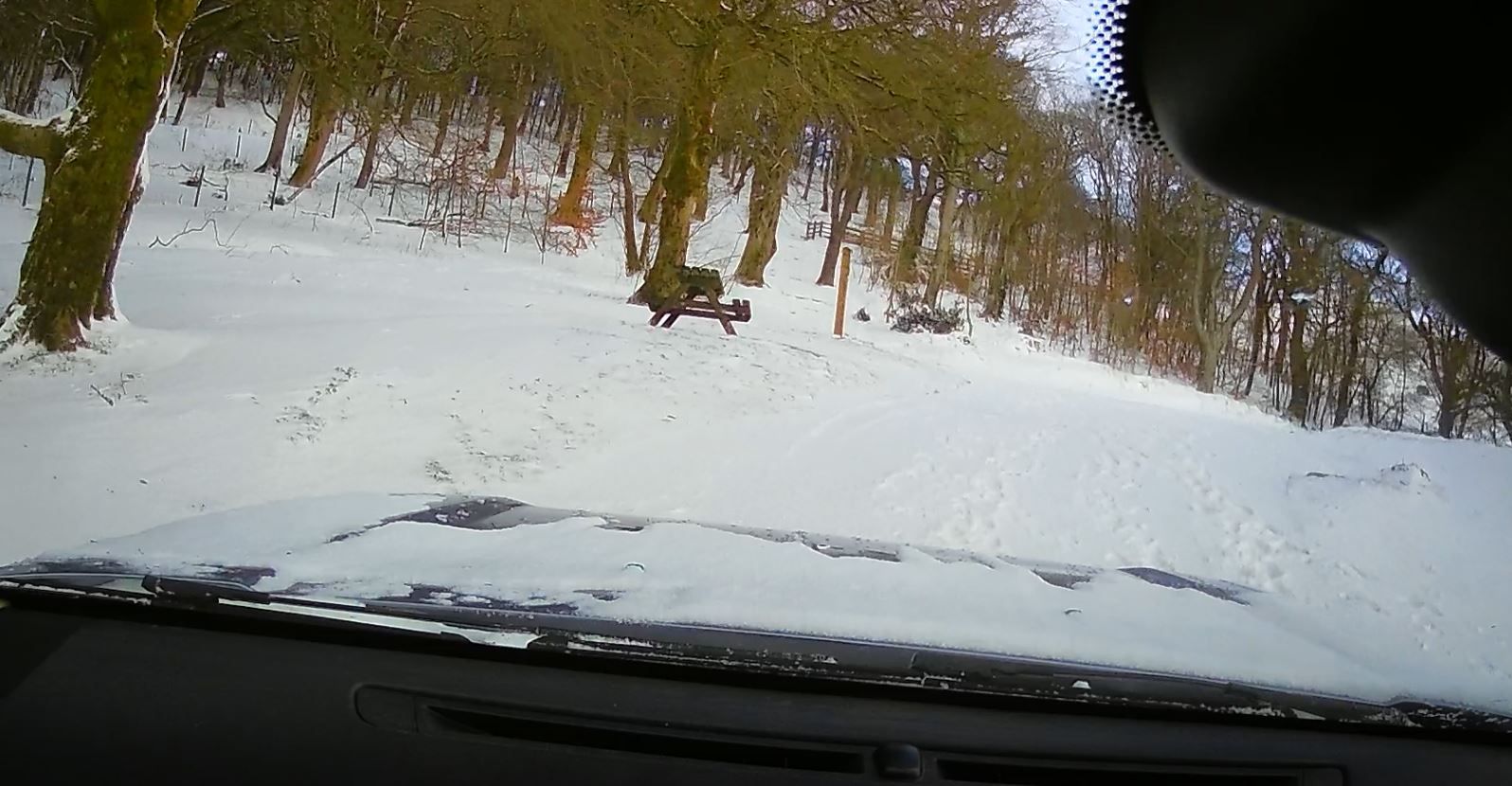 snow.JPG