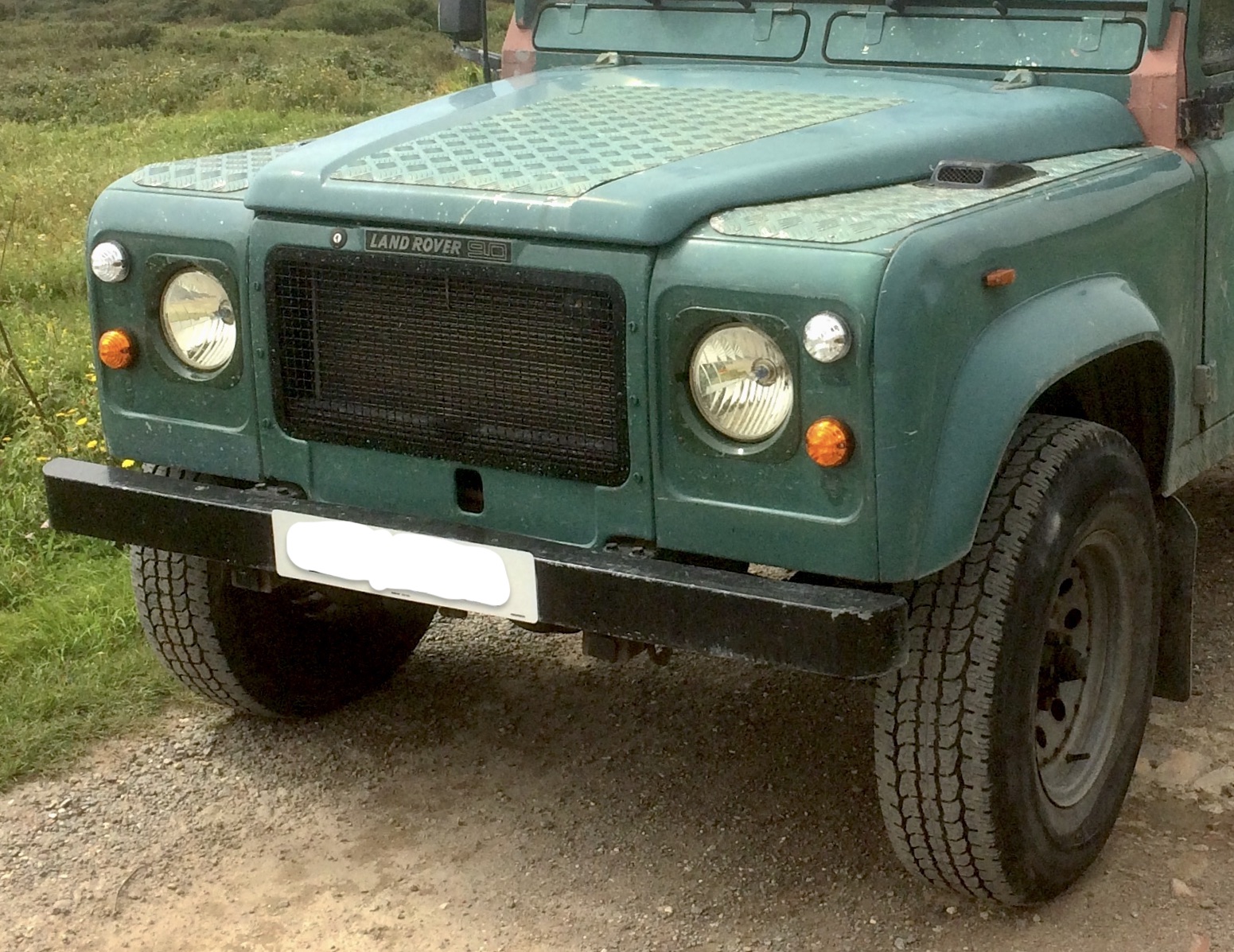 Stage One type metal grille.jpeg