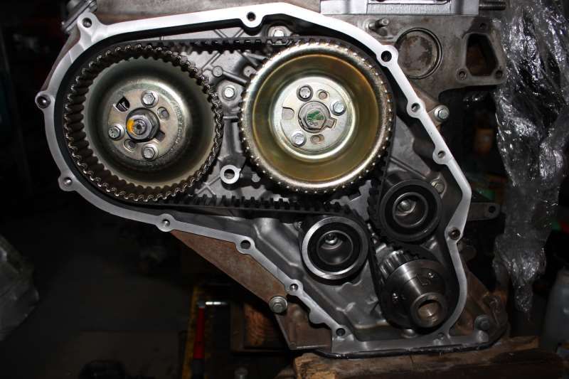 Timing belt.jpg