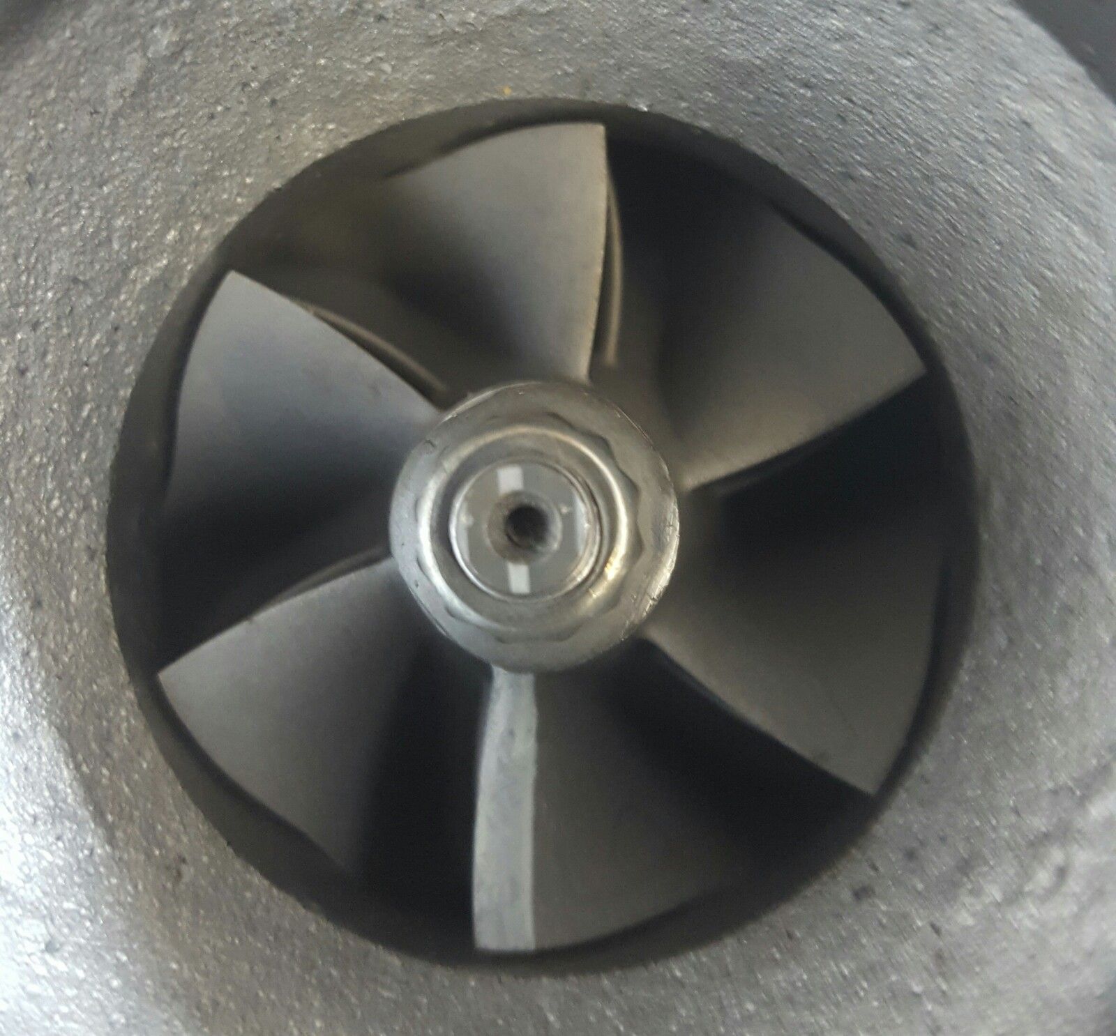 tmp_7958-20160415_103213~2-782050384.jpg
