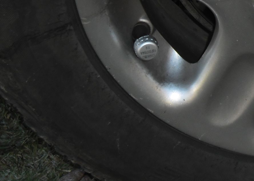 TPMS 3.jpg