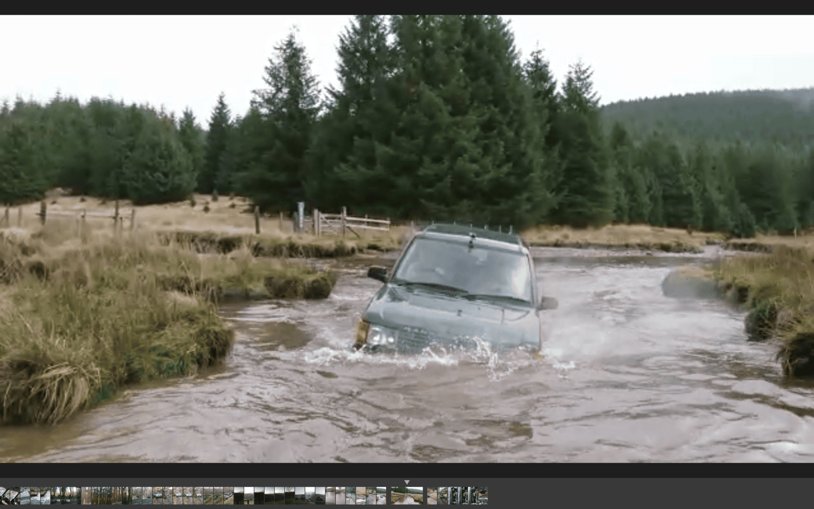 Wading.png