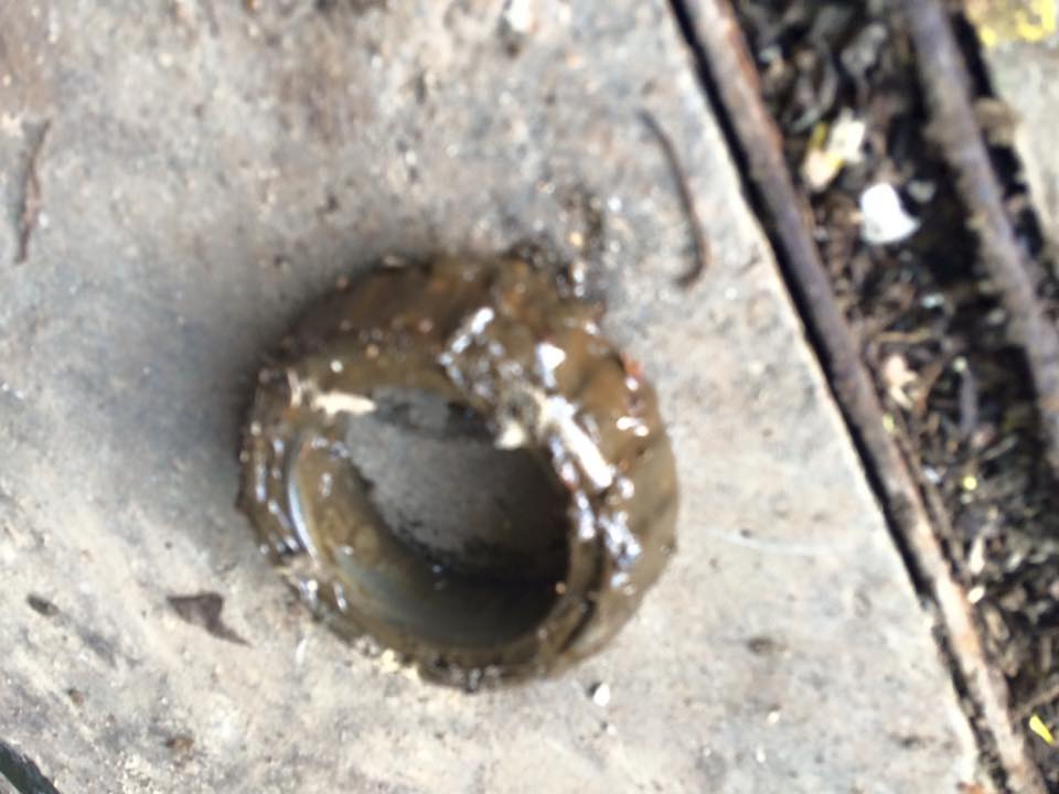 yellow 90 wheel bearing.jpg