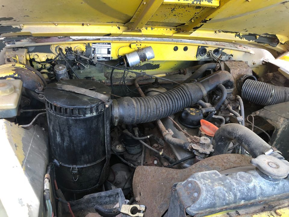 Yellow.jpg