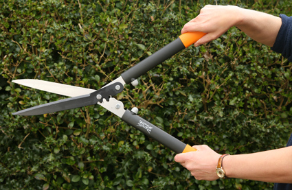 garden_shears.jpg