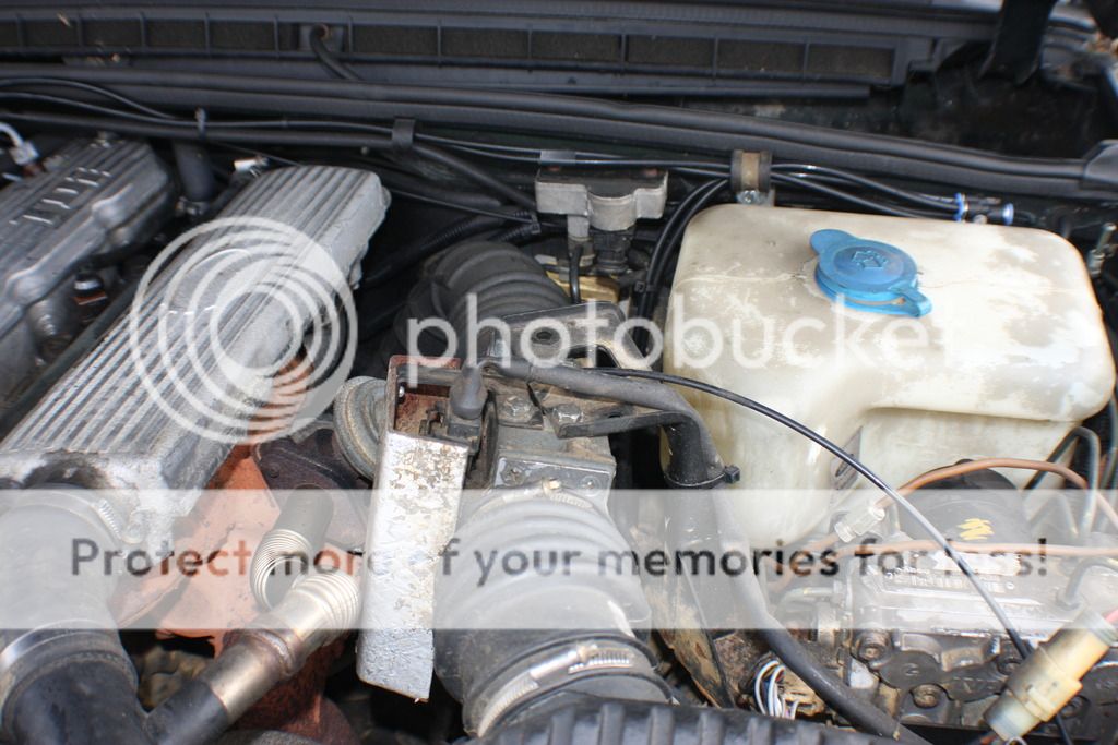 IMG_6439_zpscn4kj6ce.jpg