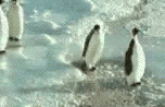 image012.gif