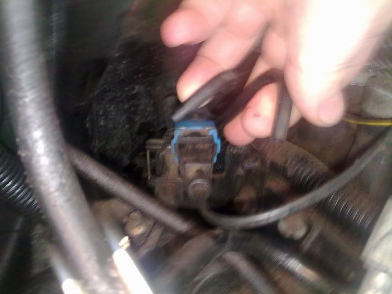 04102009079.jpg