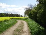 sawtrylanes09b001.jpg