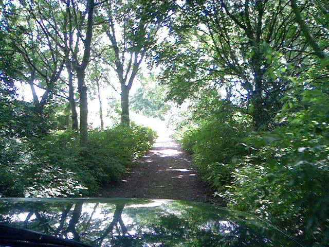 Photo-0013.jpg