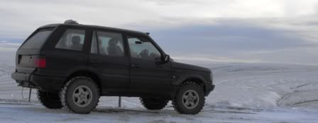 winteryavi.jpg
