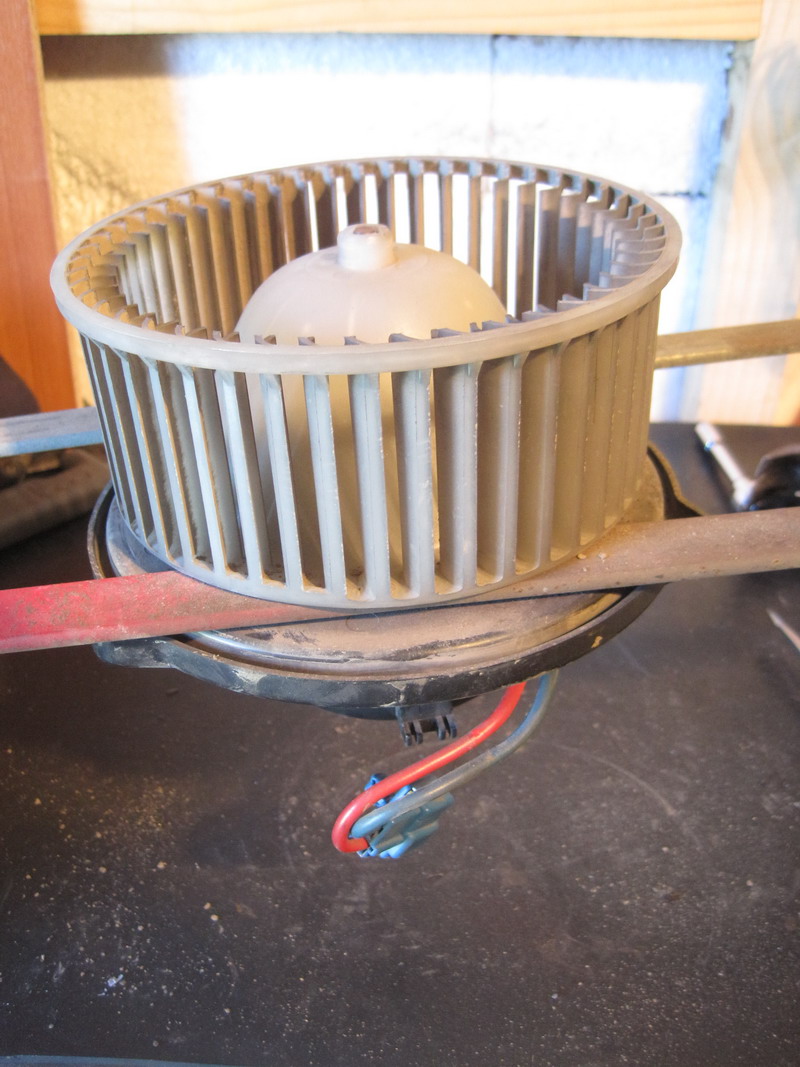 PIW019resizeC4Y.jpg