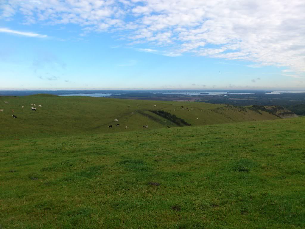 DSC_2198.jpg
