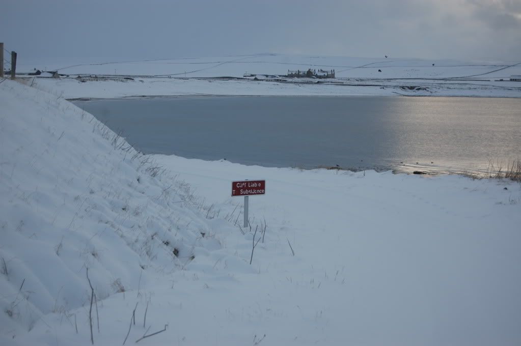 DSC_0011.jpg
