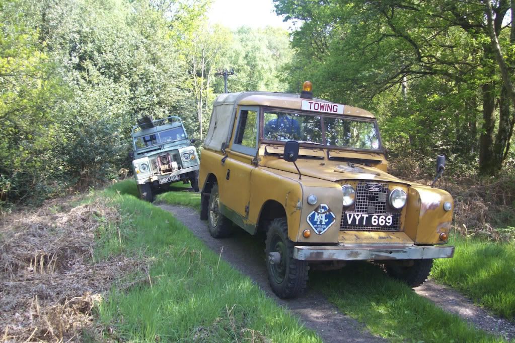 greenlaning_today-3.jpg