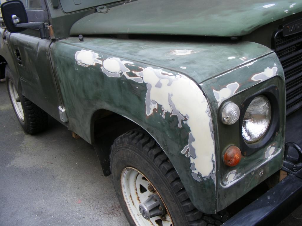 FromFujicam2012to2013andLandy097.jpg
