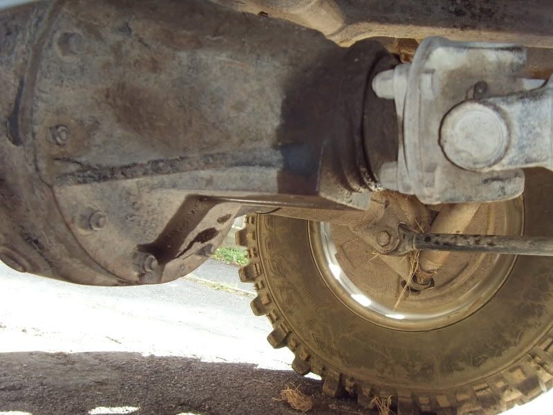 SDC10929.jpg