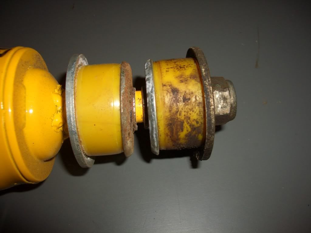 Shoxbushes003.jpg