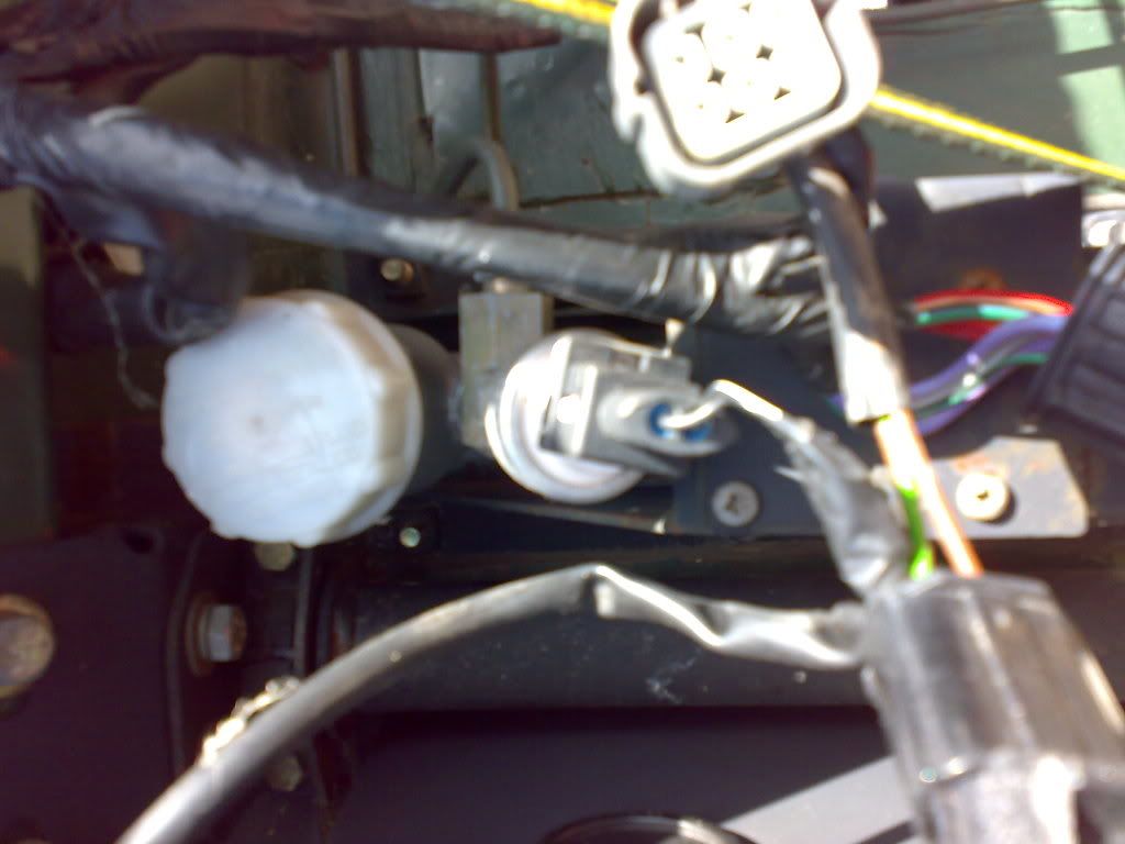 Picture018.jpg