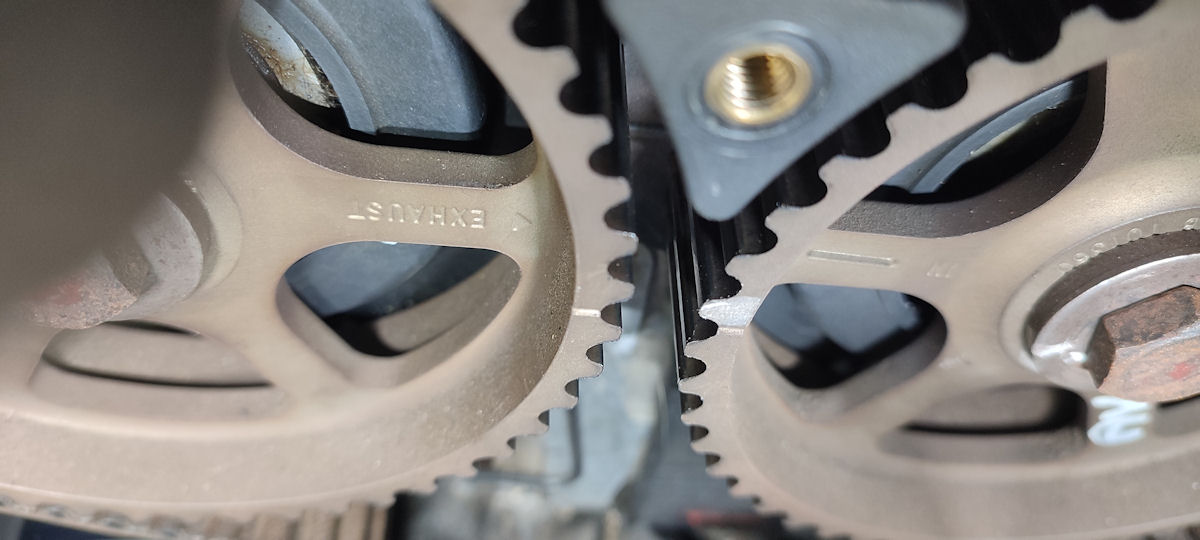cog1.jpg