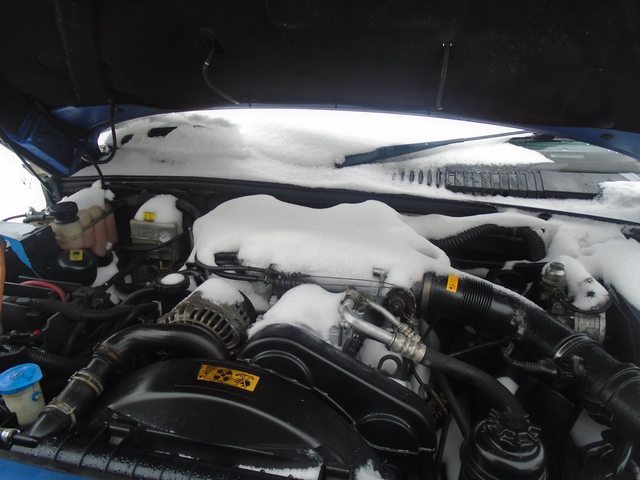 eK9lODPl.jpg