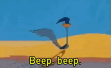 tenor.gif