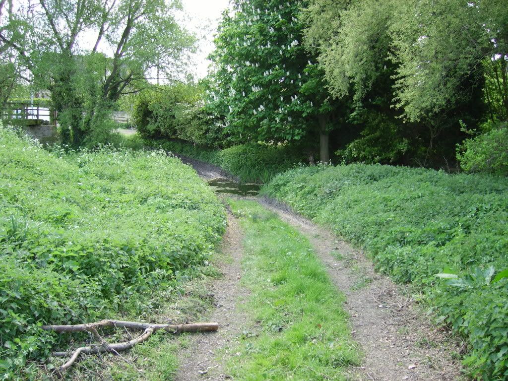 sawtrylanes09b004.jpg