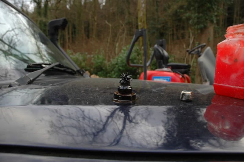 DSC_3884.jpg