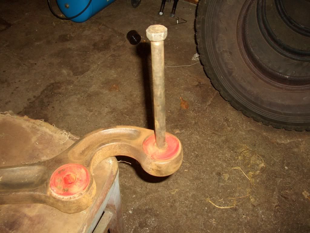 Bushstuff014.jpg