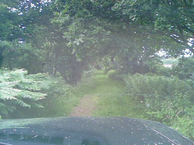 Photo-0015.jpg