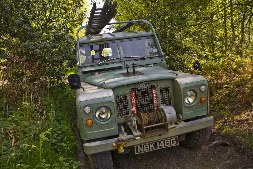 greenlaning-3.jpg